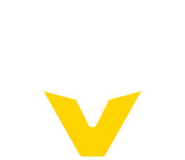 Vienna Vikings